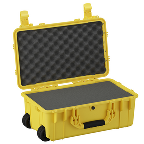 22" Large Case #300