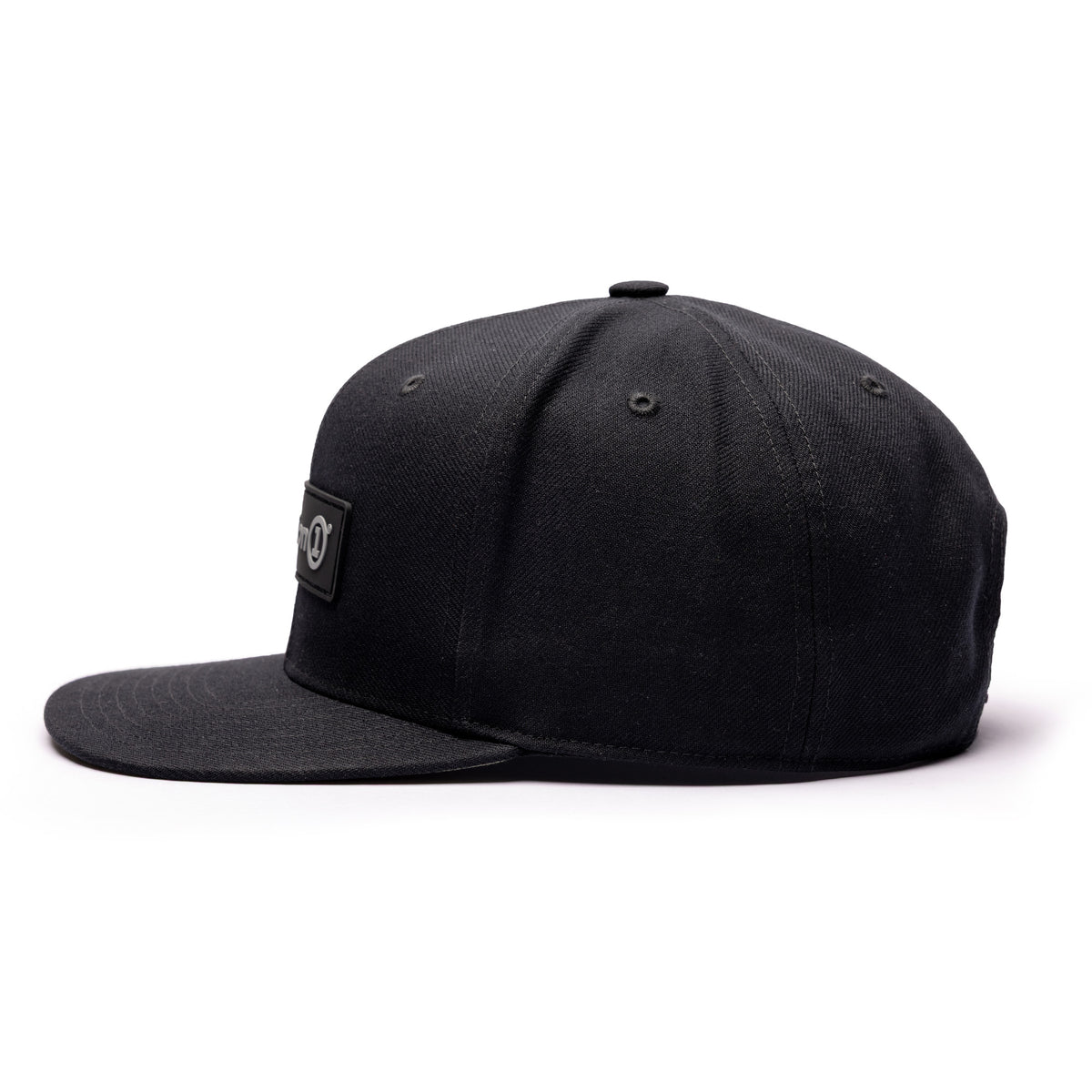 Concealed - Snapback